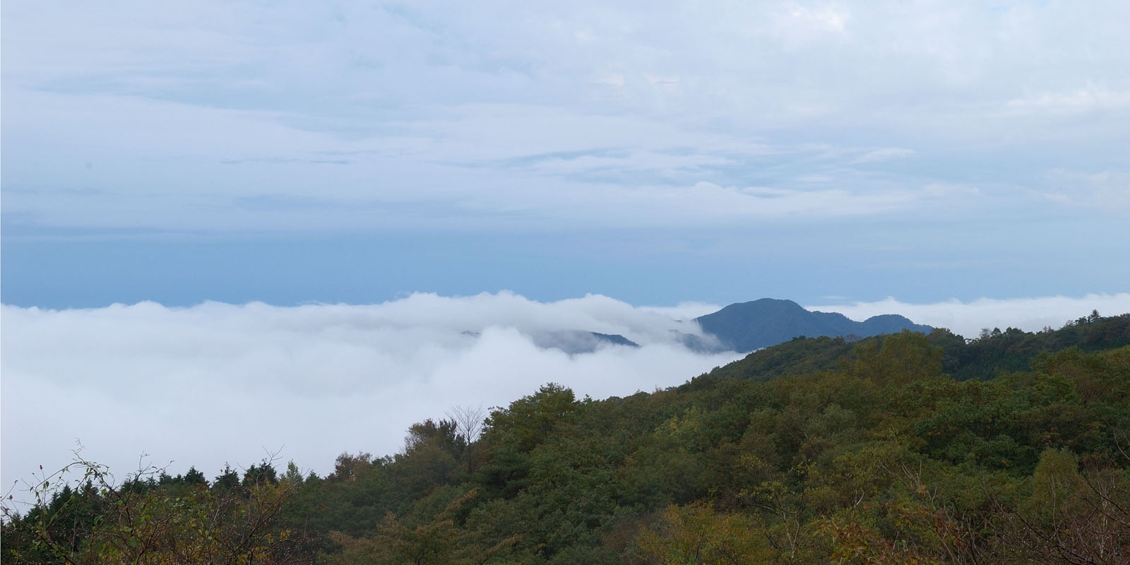 栃木県鹿沼市