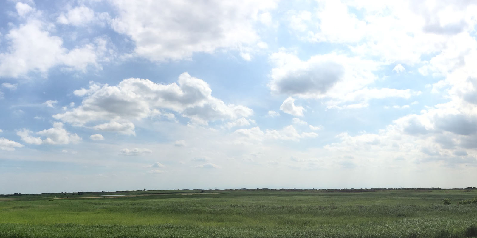 栃木県小山市